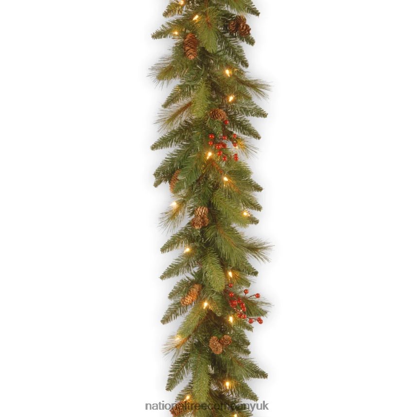 Greenery | National Tree Company Pre-Lit Artificial Christmas Garland Green Evergreen White Lights Decorated With Pine Cones Berry Clusters Plug In Christmas Collection 9 Feet F2L4F341